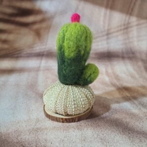 Cactus flor rosa